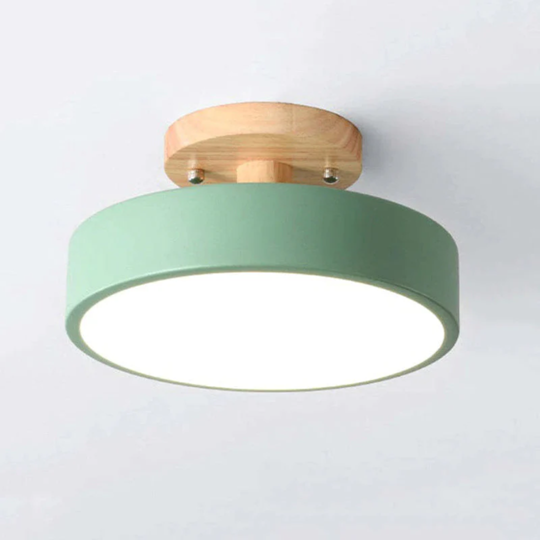 Stijlvolle moderne LED plafondlamp Avosian