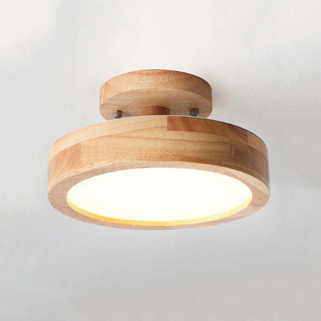 Stijlvolle moderne LED plafondlamp Avosian