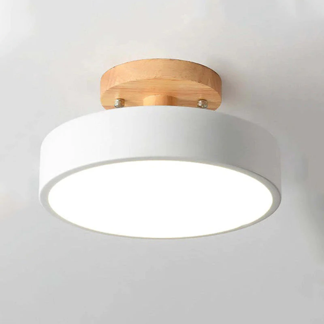 Stijlvolle moderne LED plafondlamp Avosian