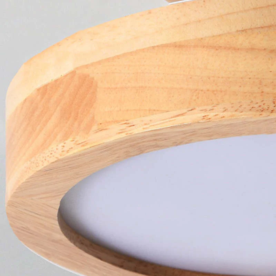 Stijlvolle moderne LED plafondlamp Avosian