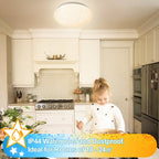 24W LED plafondlamp dimmable met sterrenhemel-effect