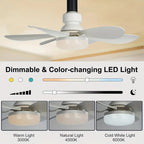 2-IN-1 DRAAGBARE DECKENVENTILATOR & LICHT met afstandsbediening