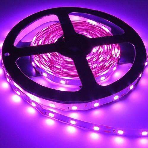 3528 LED-Strips Licht 12V 5M 300 Leds - Zorg ervoor dat de detail perfect is